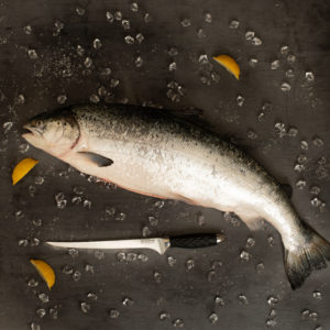 Pro Series 9" Fillet Knife