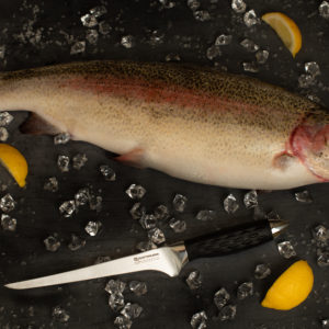 Pro Series 7" Fillet Knife