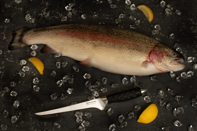 Pro Series 7" Fillet Knife