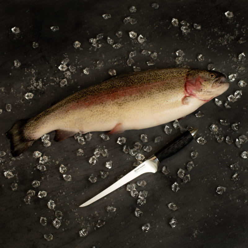 Pro Series 7" Fillet Knife - Image 5